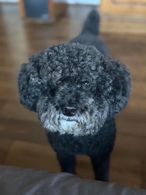 I’m suppose to read her mind this morning??!!