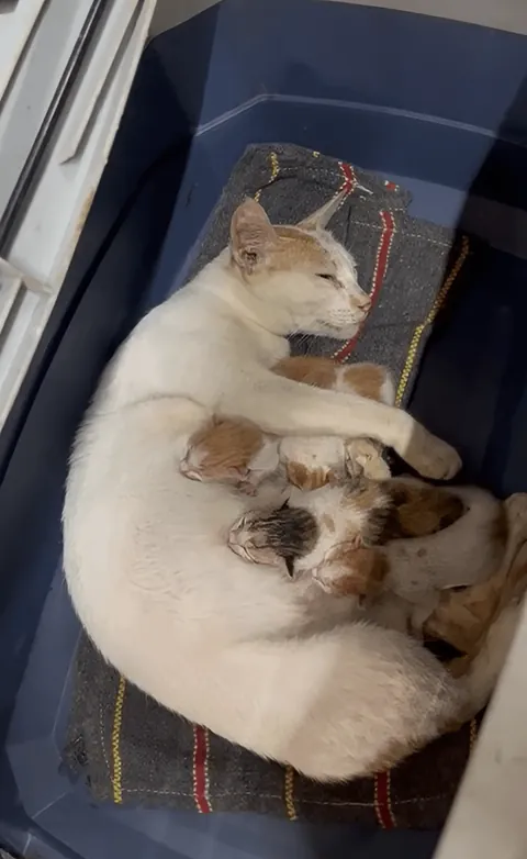 People asked for more photos of garage employees!