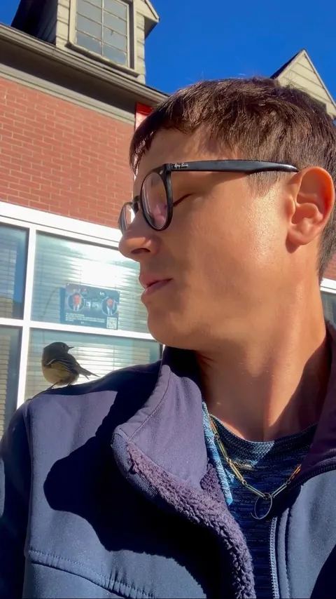 Saved a bird in shock on the sidewalk from being stepped on (first pic is just before I released it!)