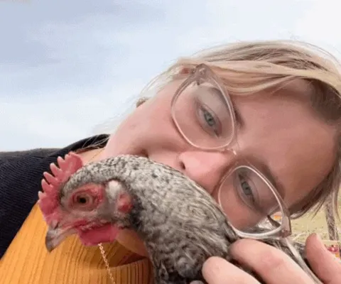 Chickens deserve more credit for how loveable they can be