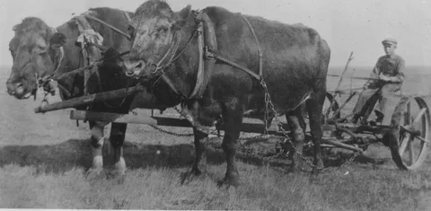 My dad, about age 12