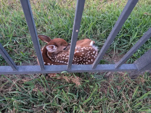 Mama let us babysit this little one for a while yesterday