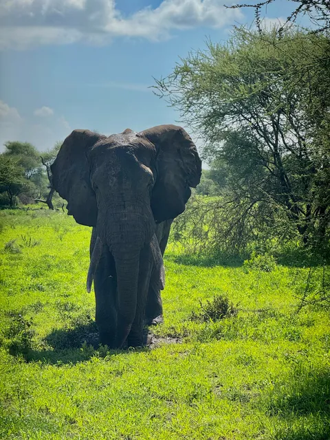 2 weeks of a dream in Tanzania