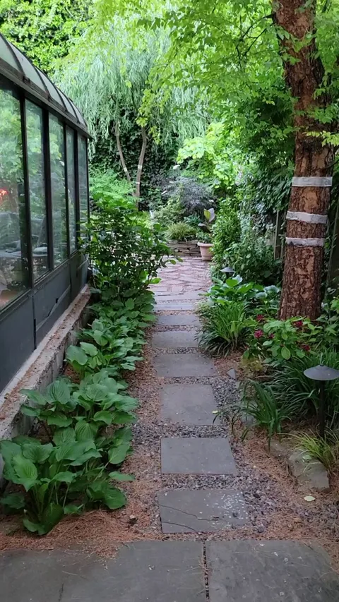 I live in the city of Philadelphia, this is my garden.