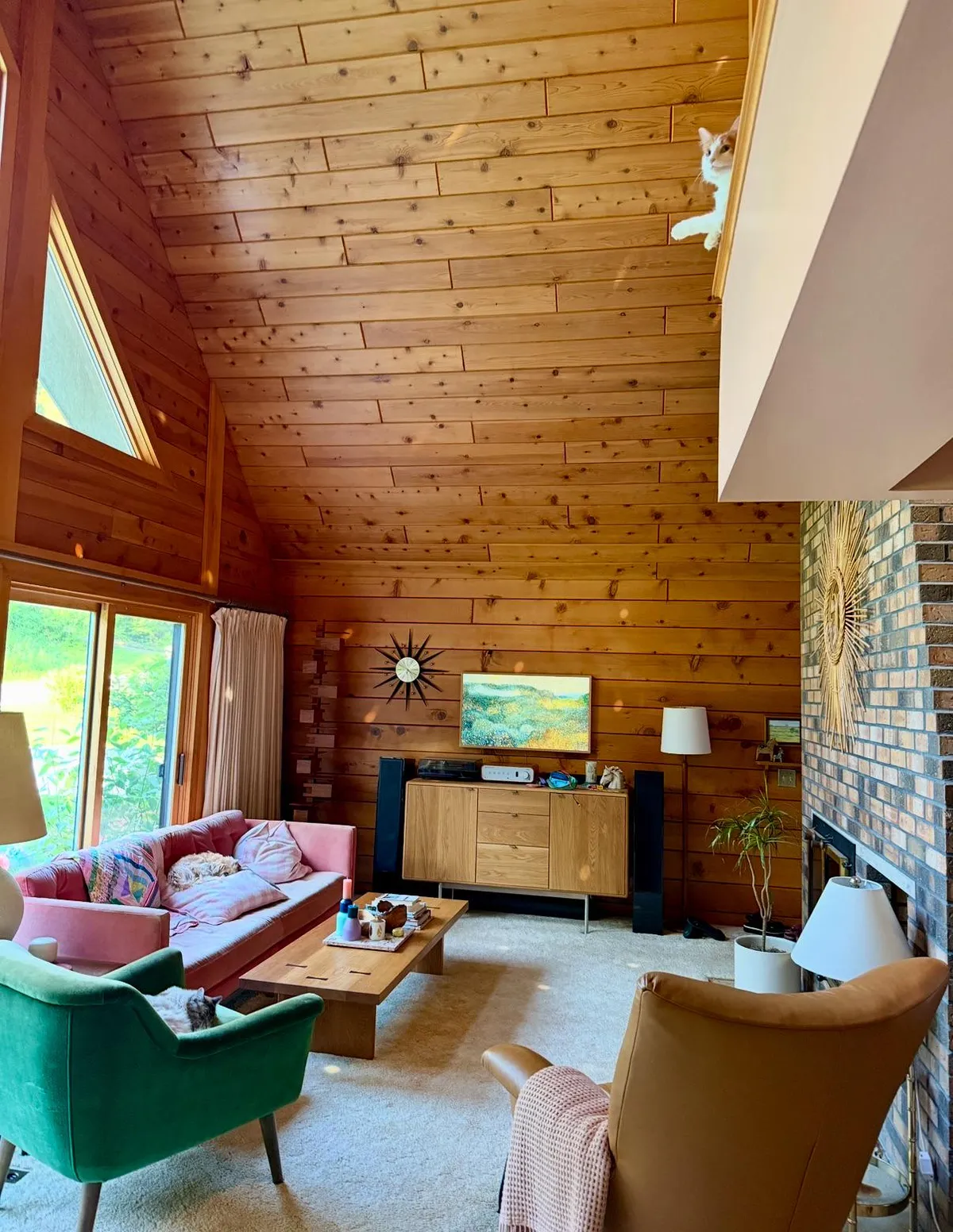 Three pets all in their favorite places.