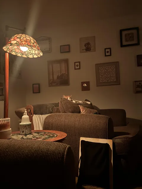 The lamp really makes the space so warm 🤎