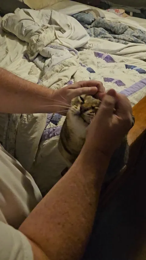 She waits here every morning for me to get dressed and do this.