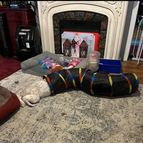 More pictures of Chief being unapologetically himself