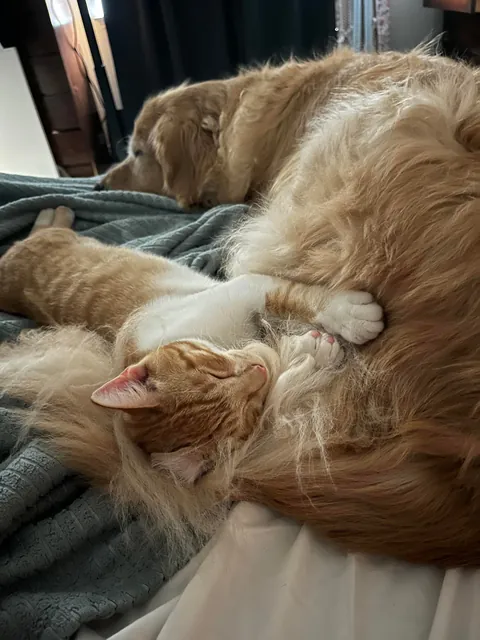 JimJim loves his Clover dog