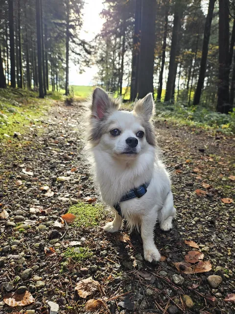 Wish you a nice start into November