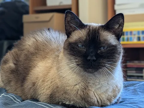 She doesn't age because she's a movie star (18 years old)