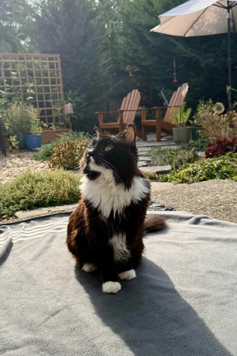 Had to say goodbye to my best friend