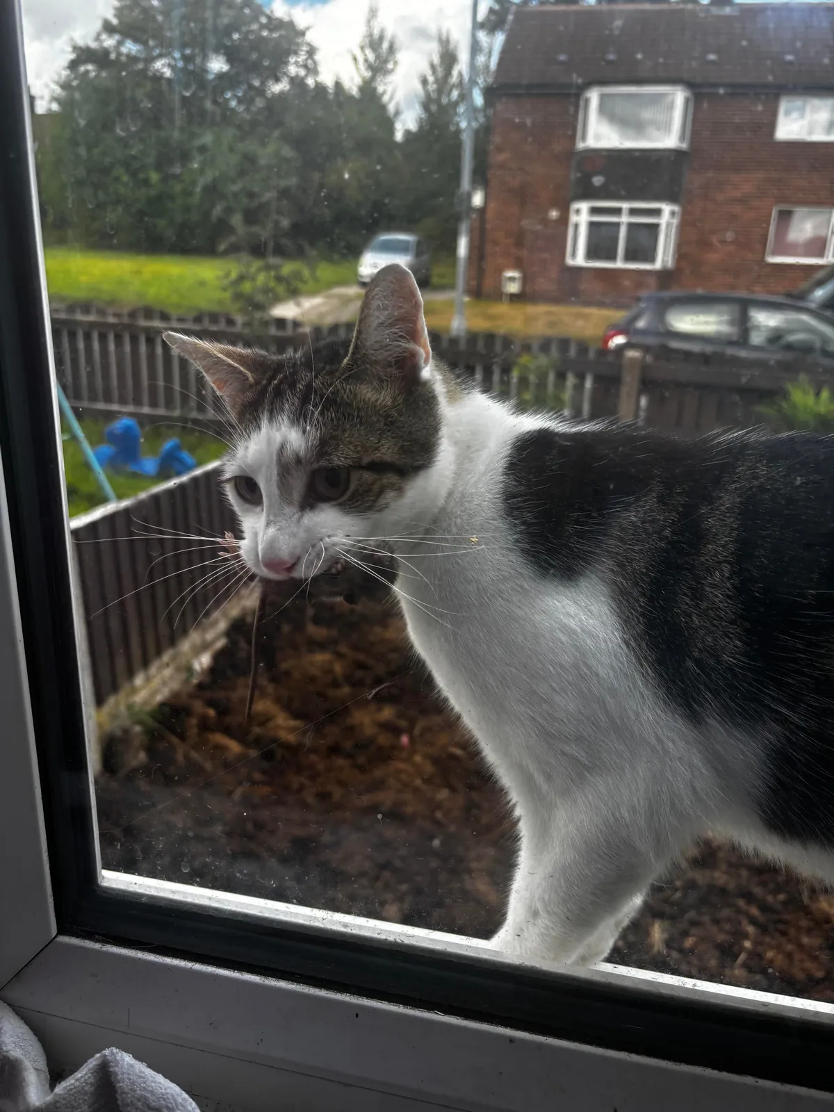 My beautiful baby died today