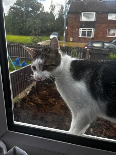 My beautiful baby died today