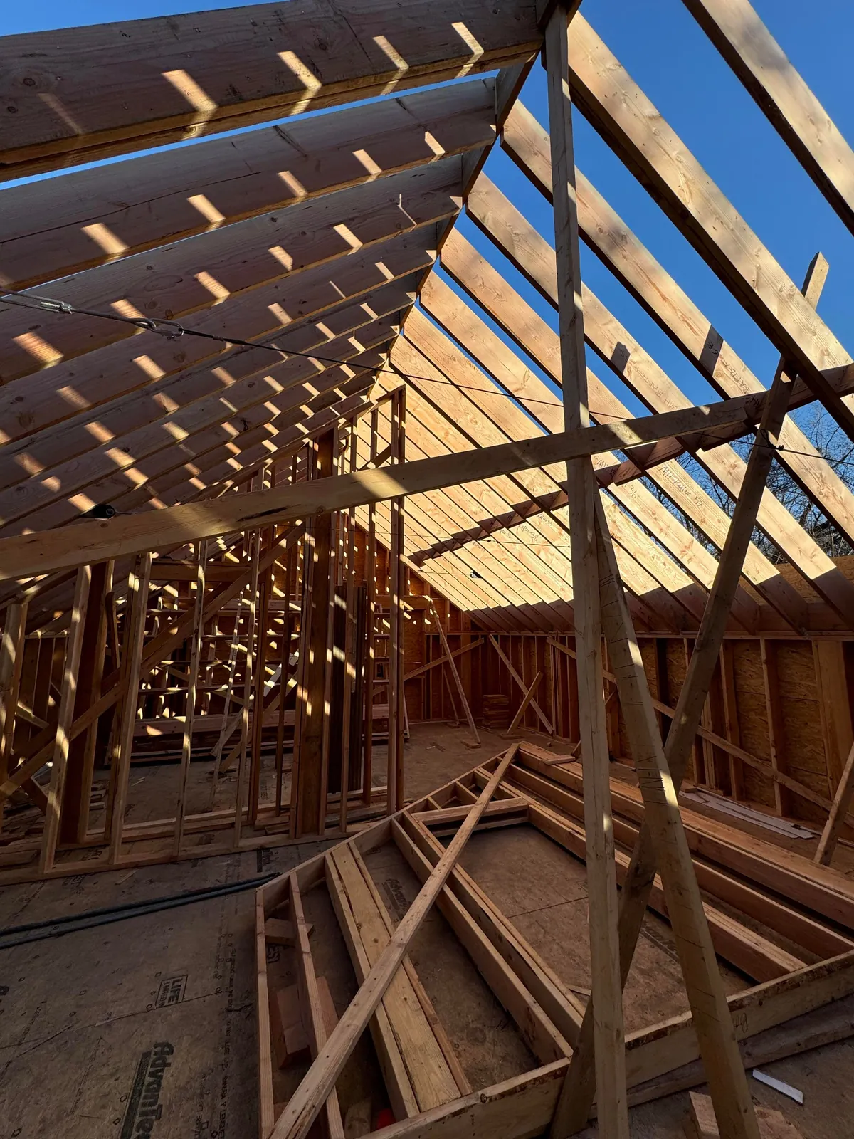 Wanted to share my 6th year architecture project.