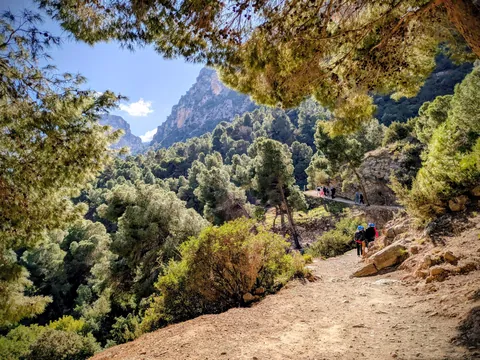 Malaga/Granada/Surroundings