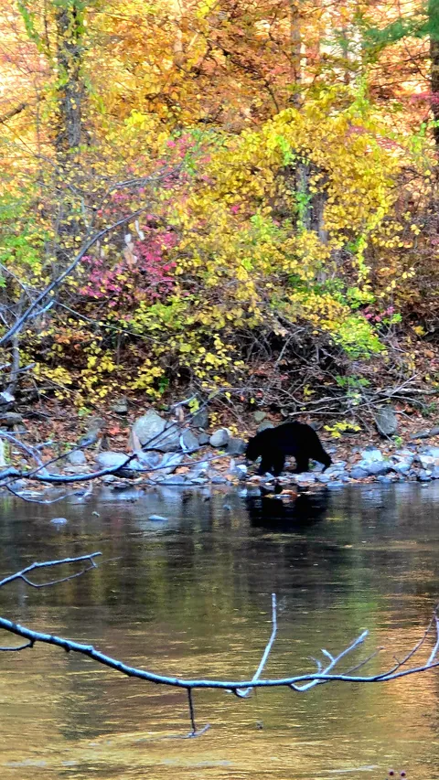 Late Fall in Connecticut