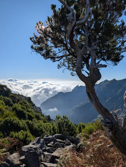 Pico Ruivo, Madeira, Portugal [OC] [3072 x 4080]