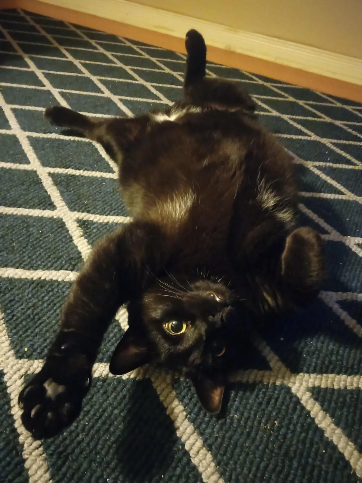 Greetings from Walter 👋