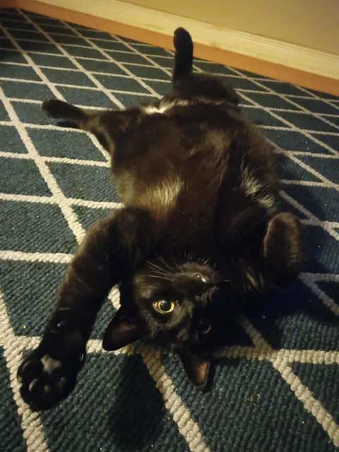 Greetings from Walter 👋