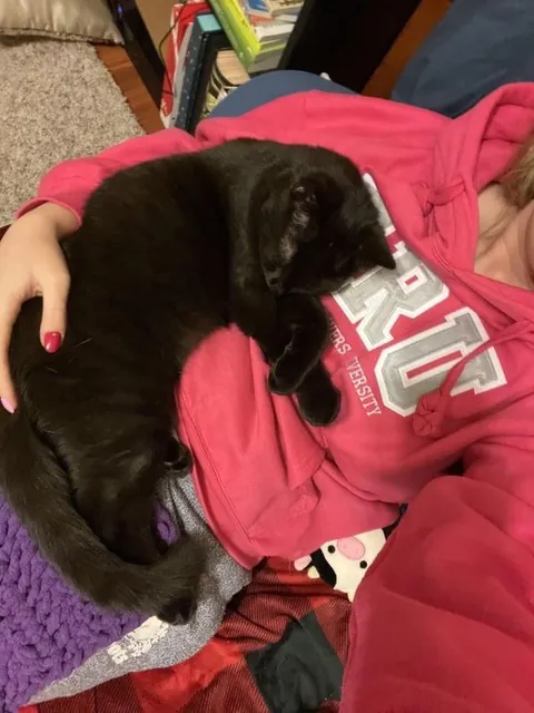 Toblerone was returned to the shelter for being “too needy”, but we love his neediness🖤