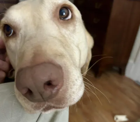 The question is, do you give him your bacon?