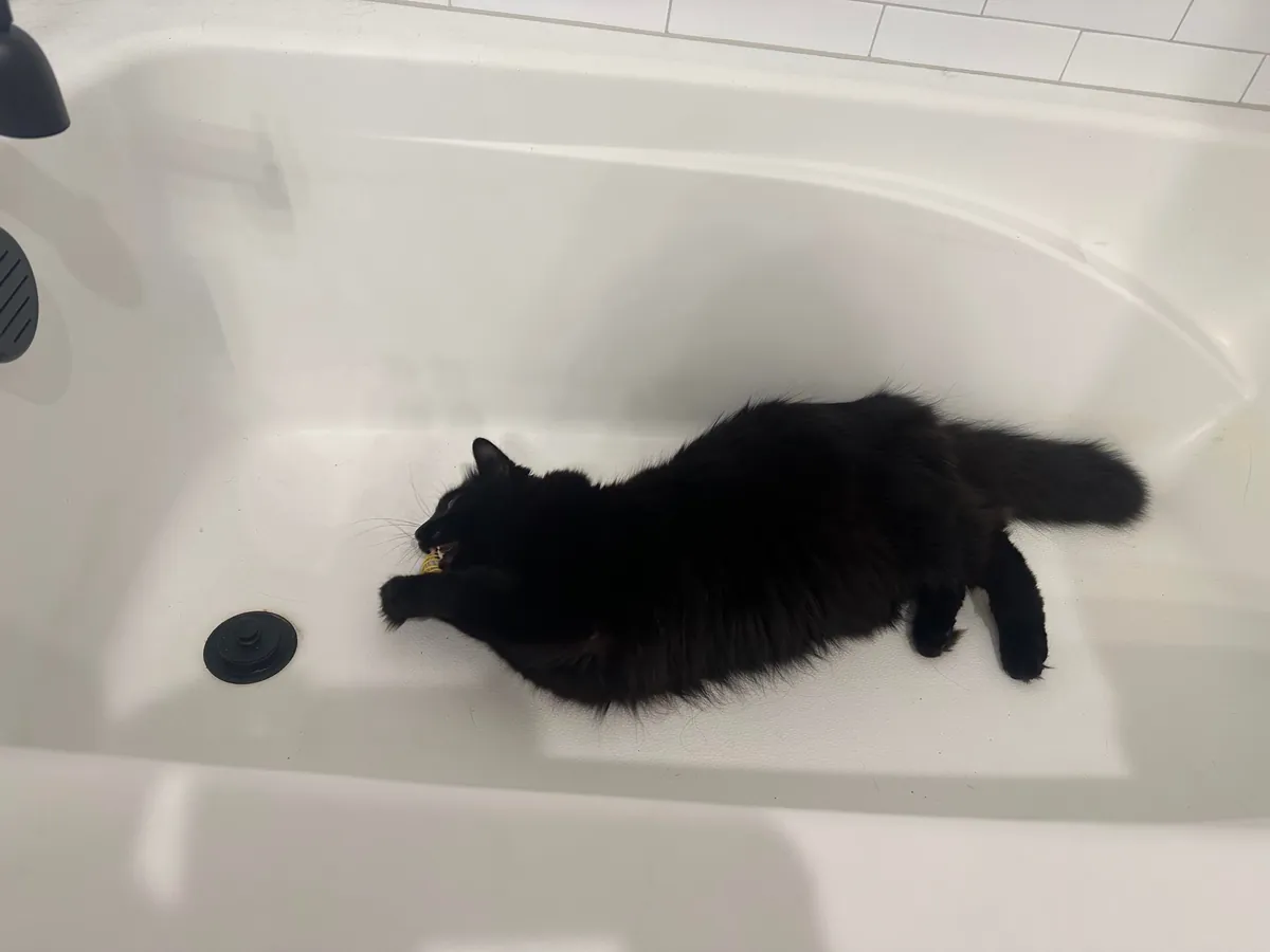 Tub time with my son