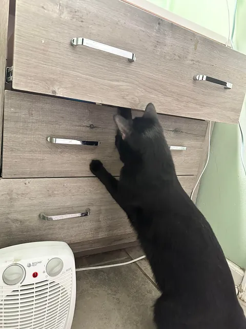 Drawer won’t shut. He has no tools but I trust him fully