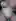 I spy…
