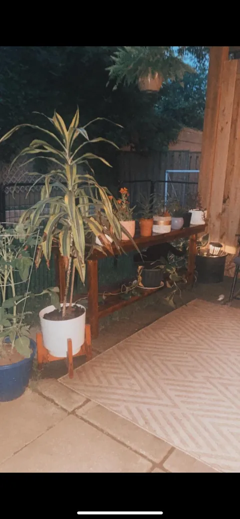 Made the most out of my little rental apartment 🧡