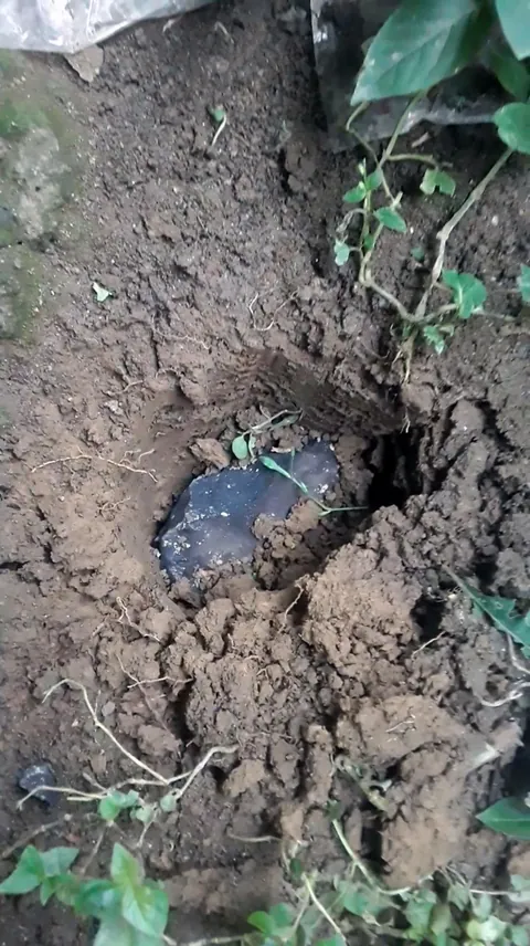 A meteorite punched a hole in his roof and was sold for a fortune