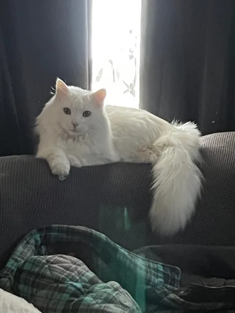 Just an appreciation post