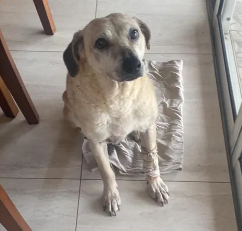 Isn’t she a good girl?