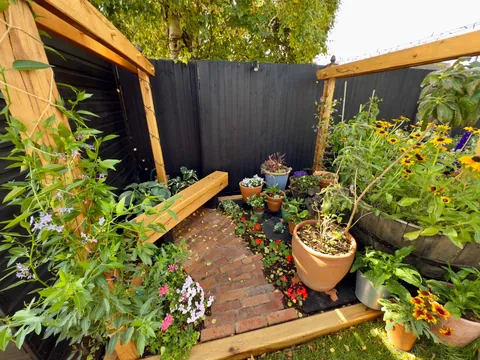 Our 2025 garden project (Staffordshire, UK)