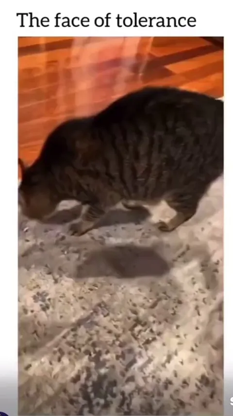 The face of tolerance 😭