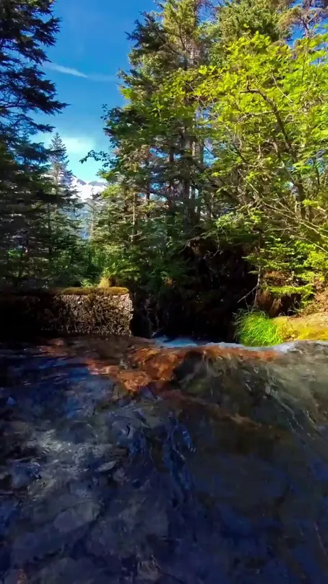 Your daily moment of zen