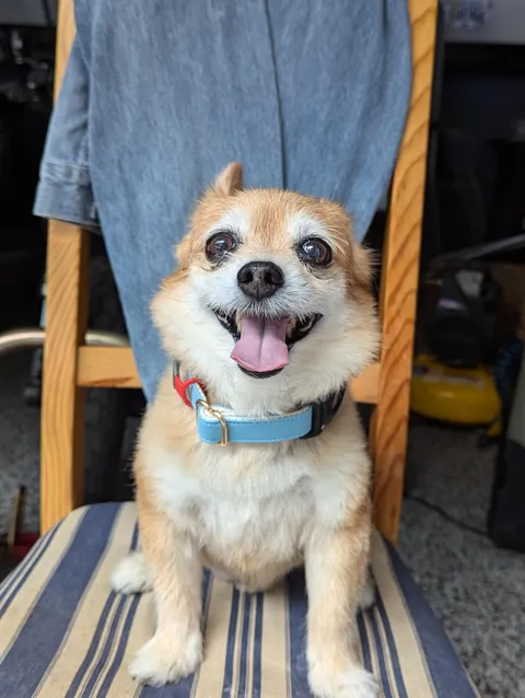 Puff pastry hopes you're enjoying your weekend 🌞