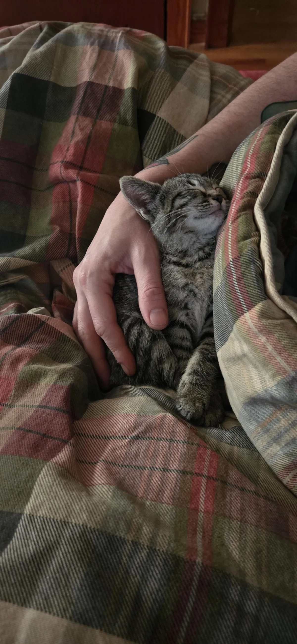 I was finally chosen.