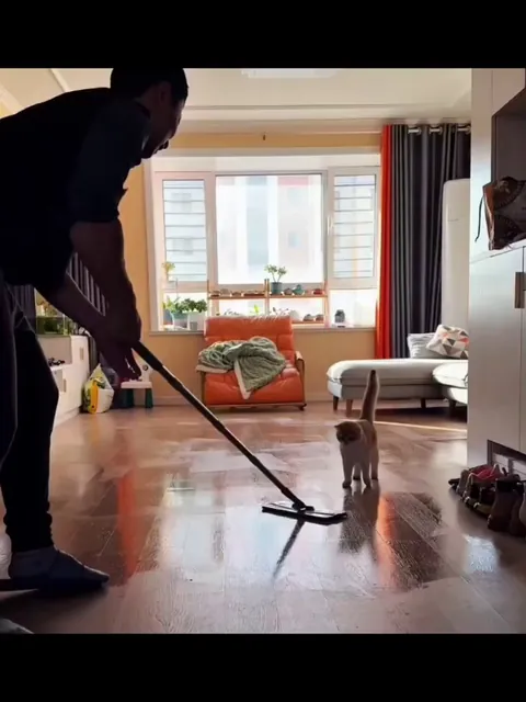 Enjoying the cleaning