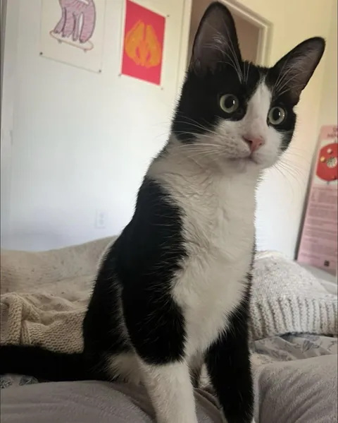 This is Bean. He moved in, today. Welcome home, Bean!