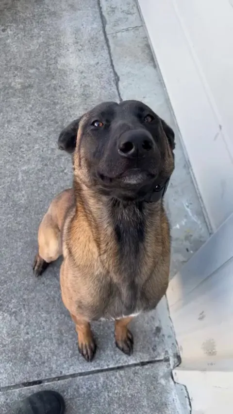 What a distinguished gentleman!