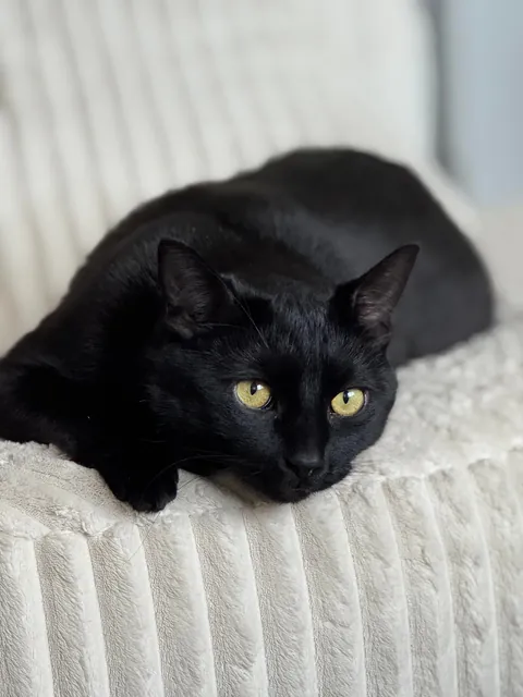 He’s just so pretty!