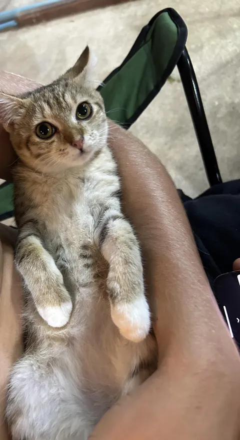 Little Donny loves being held like a baby