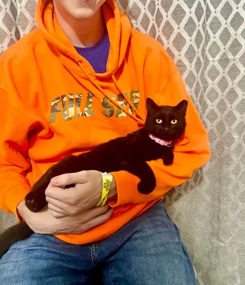 I tamed a feral cat at work (she chose me) and now she's my best friend