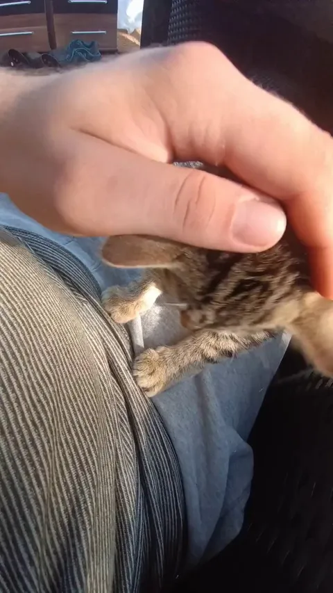 Are these biscuits that she's making? Does she in fact love me?