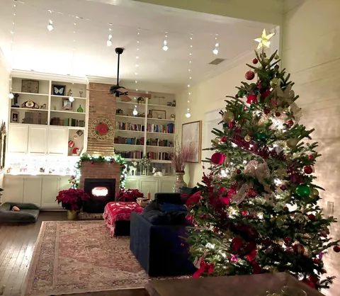 My first real Christmas Tree