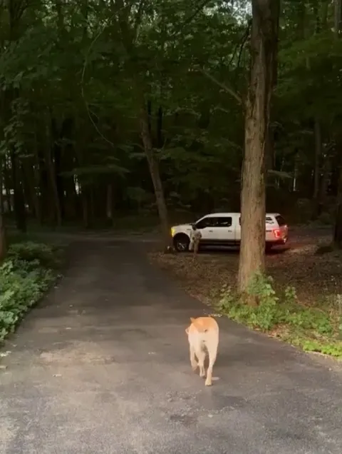 Tension is in the air