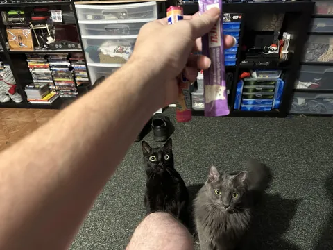 What food do you no longer get to eat peacefully after your cat(s) learned about churros?