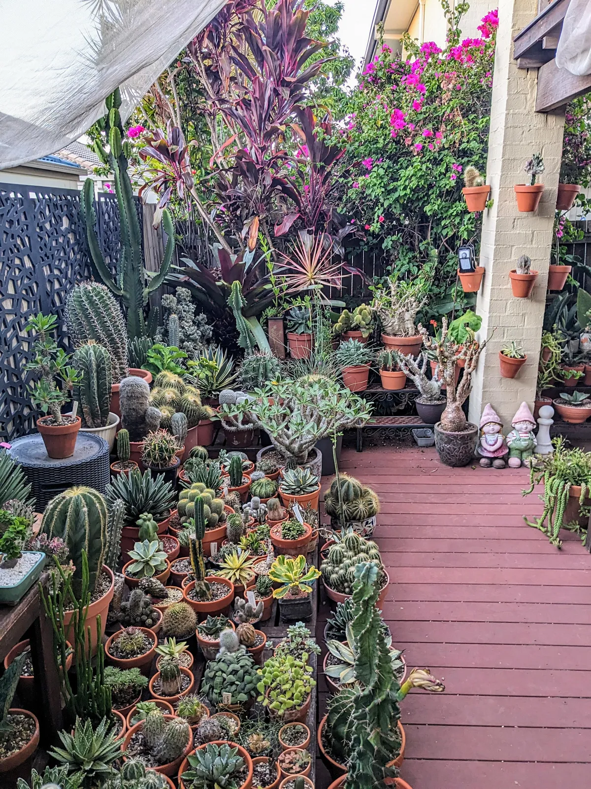 My patio garden today..
