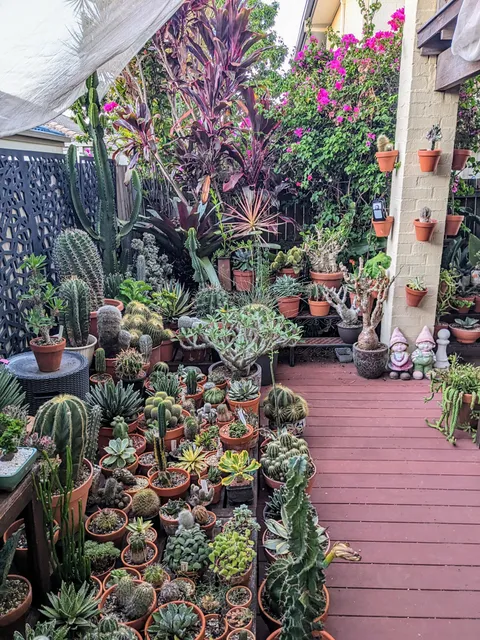 My patio garden today..